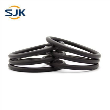 Fluoroogljični FKM O obroči